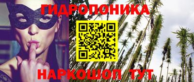 амф Кунгур