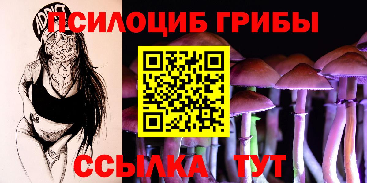 Калининград  Галлюциногенные грибы мухоморы  Вход с VPN  Псилоцибиновые грибы Psilocybine cubensis 
