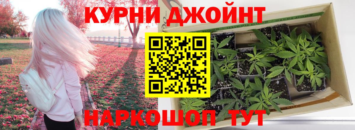 Бошки марихуана MAZAR  Марихуана конопля  Каннабис план  Вход с VPN  Калининград 